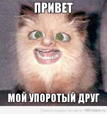 Обращение к девушкам