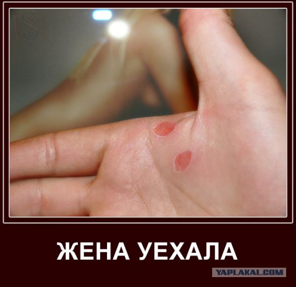 Жена уехала!
