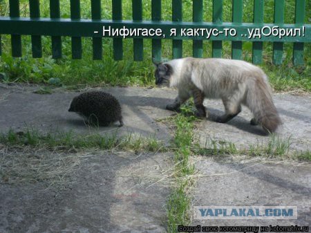 Поднимаем настроение