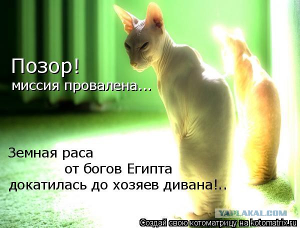 Чёрт, чёрт, чёрт!