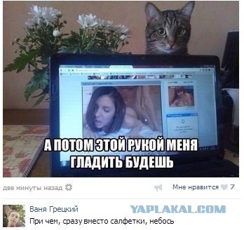 Немного позитива на пятницу