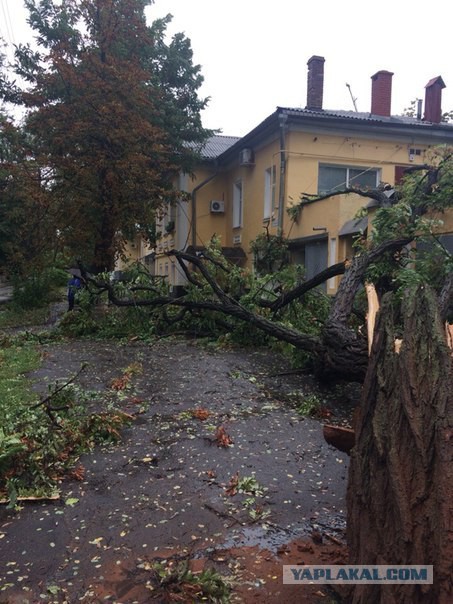 Ночной ураган в Днепропетровске, 24.09.2014.