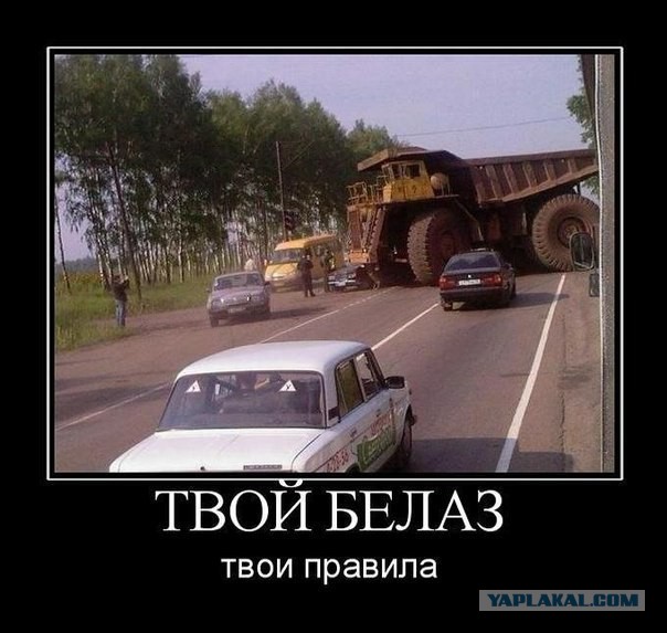 Братишки, я вам картинок принёс!