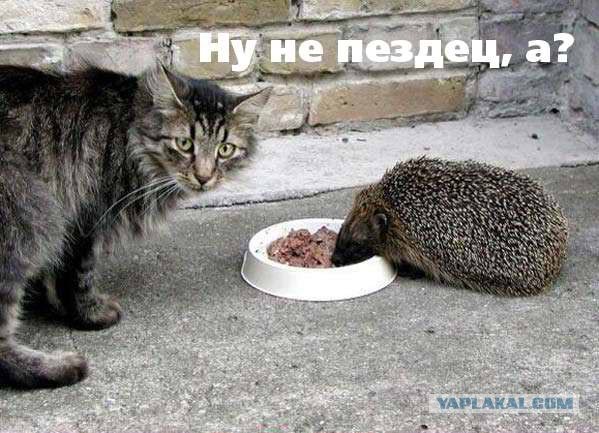 Горячие демотиваторы