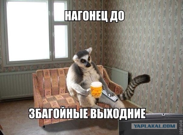 Лемурьей мудрости пост