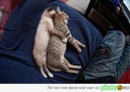 Эталон лживой шалавы