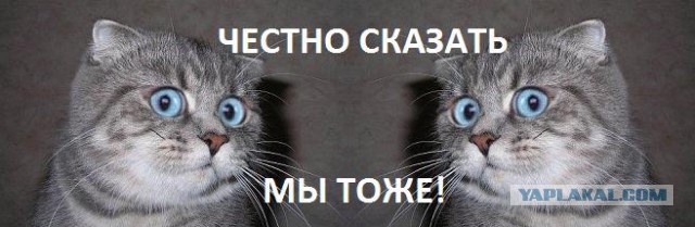 Невероятное событие в океане