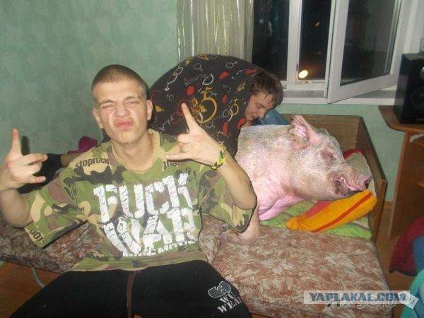 Сборная солянка