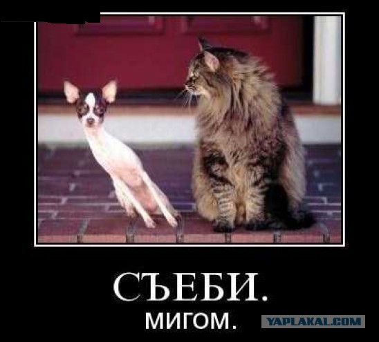Картинки с просторов на четверг