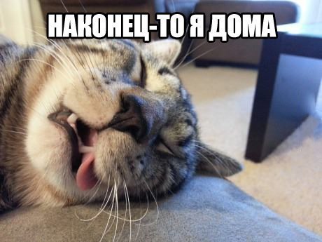 Картинки и демотиваторы