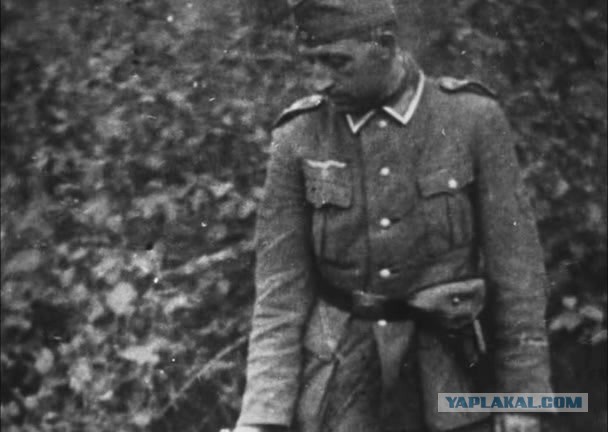 Завалили трупами