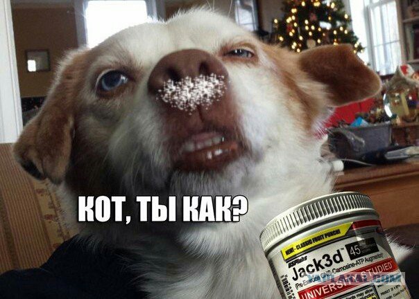 Абсурдный юмор ч.7