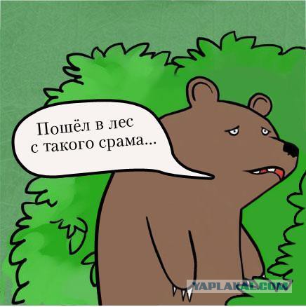 Анус на прочность