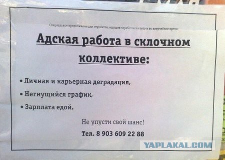 Подборка прикольных объявлений и надписей.