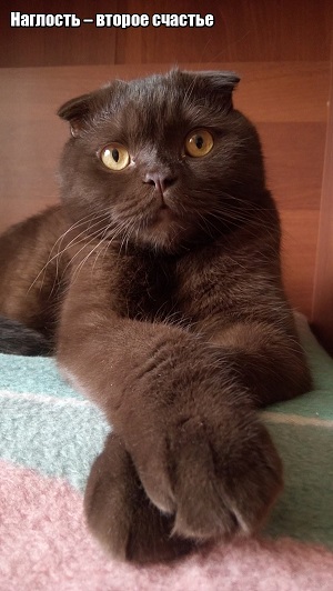 Немного охренел от такой наглости