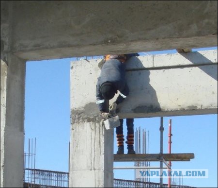 Картинки из сети
