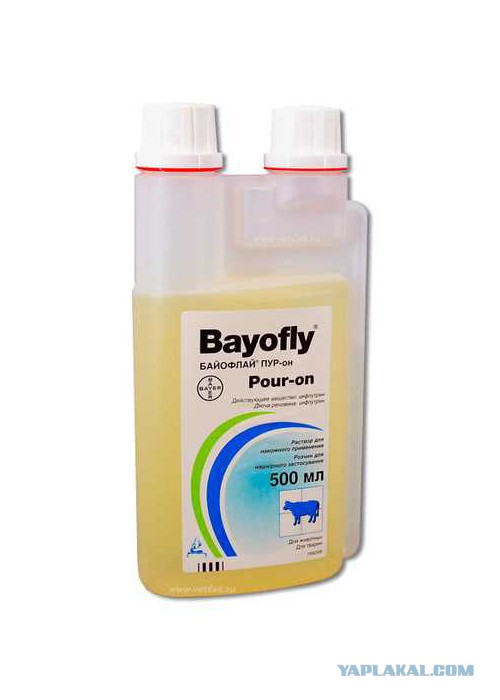 Клопики заели…