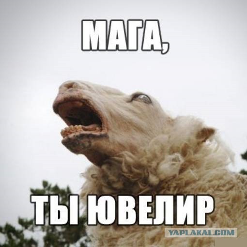 Не любите зрелых женщин?