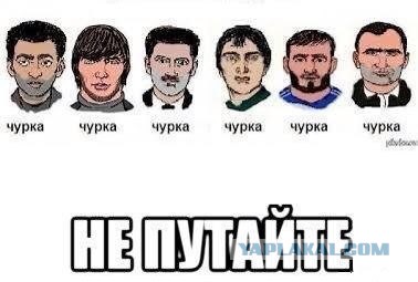 Программу предсказания преступлений обвинили в расизме