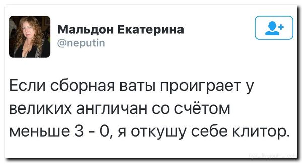 "Эксперты" на проводе