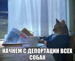 Котика не возьмёте?