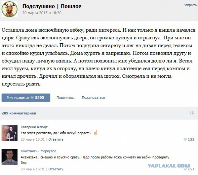 Воскресная порция перлов
