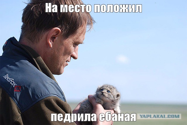 Небольшой микс картинок и гифок .