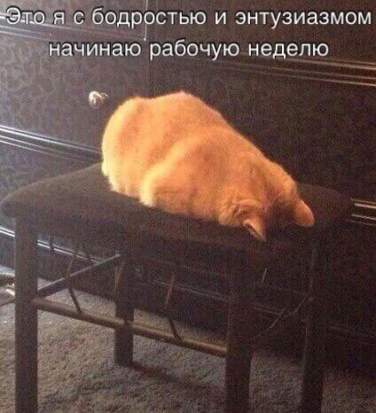 Адовый трэш и тупизм на начало недели