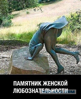 Небольшая подборка прикольных фотокарточек