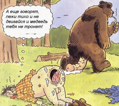 Как избежать укуса бродячей собаки