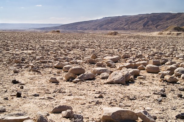 Пустыня Негев