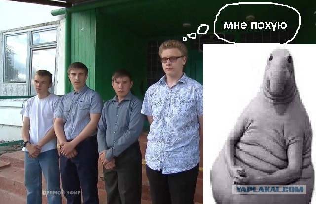 Прямая линия с В. В. Путиным