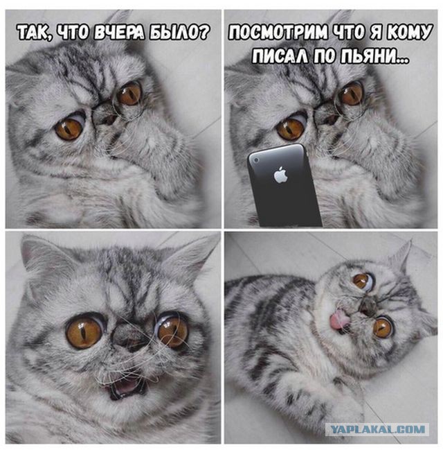 Юмор не для тех...