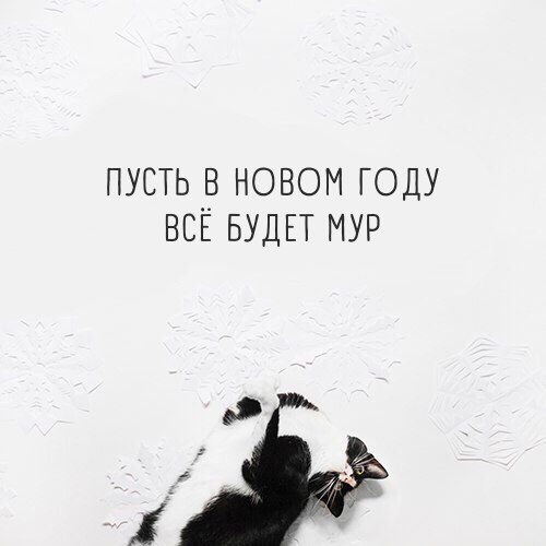 Смешные комментарии и картинки на новогоднюю и околоновогоднюю тематику. Часть 3