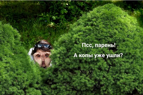 Водитель-летчик