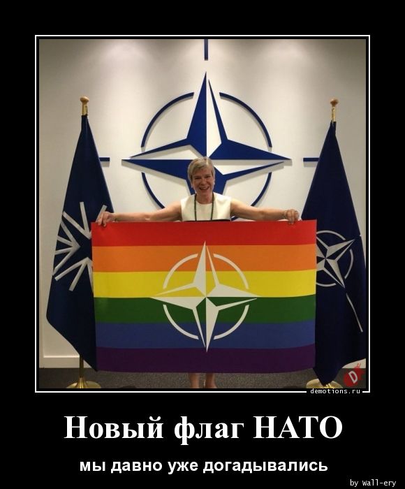 НАТО. Одно фото для понимания