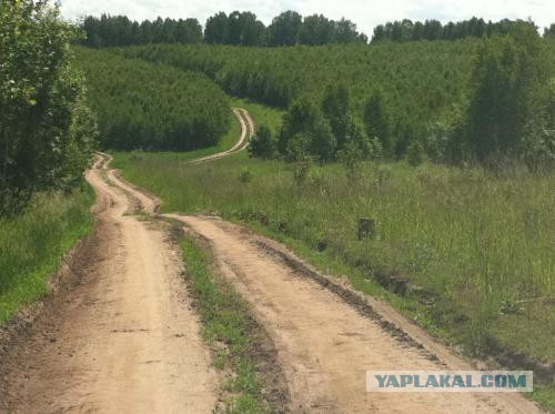 Отпускные фотографии могут быть разными. Например, такими, если ты поехал в деревню к бабушке