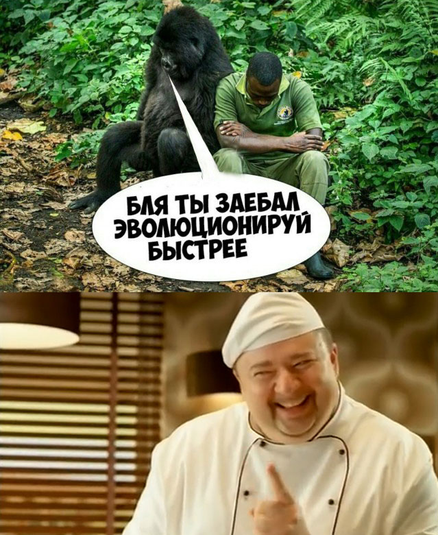 Странный Юмор В Контакте