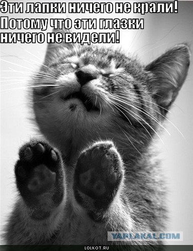 Пост умиления.