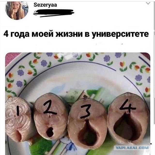 У нее тупо не заходит
