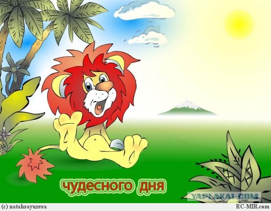 Под пристальным присмотром: детсад на прогулке