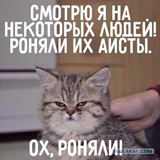 Долги бывшего екатеринбургского депутата на 214 млн рублей выплатят из бюджета