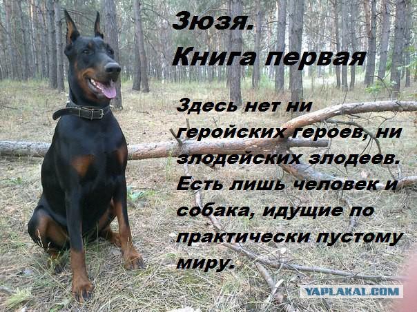 Зюзя