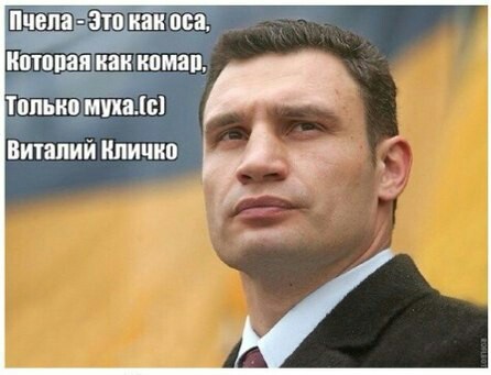Кличко приехал на инаугурацию Зеленского на велосипеде