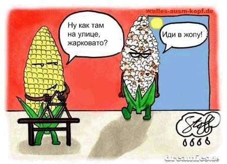 Не очень адекватный юмор