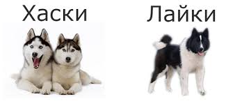 Чужой крест