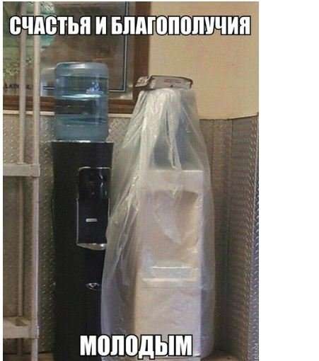 Бредзона из картинок