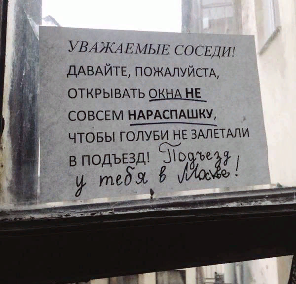 Неопровержимые доказательства того, что Санкт-Петербург особенный город