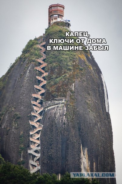Бредзона 14.02.2020