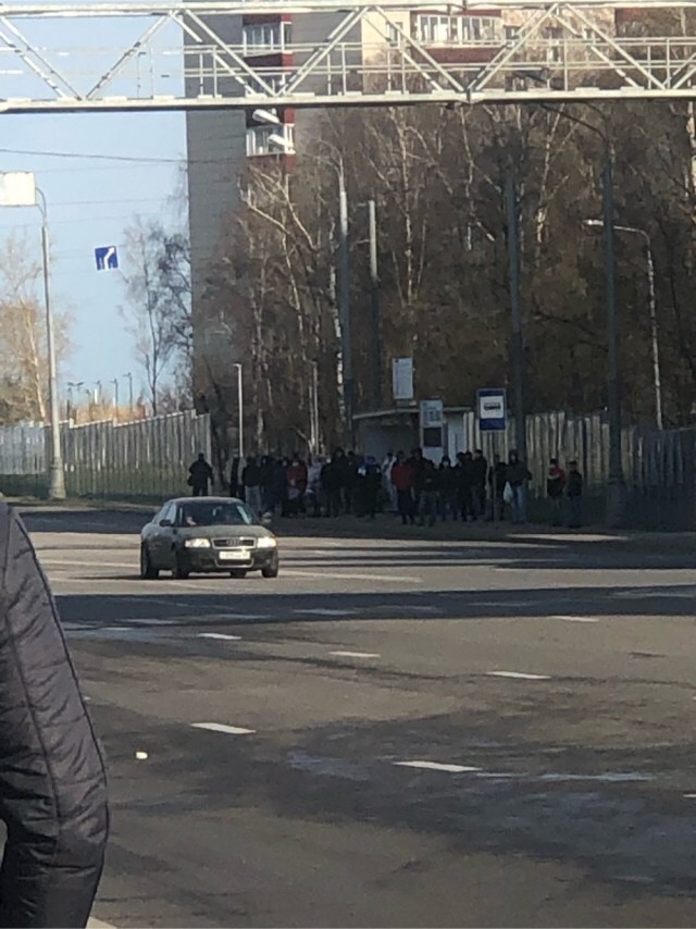 Шапито с пропусками